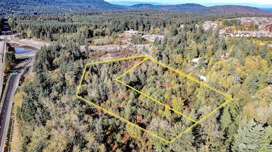 34700 Lot 3 SE 99th St, Snoqualmie, WA 98065 - photo 6