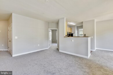 42421 Rockrose Square unit 203, Ashburn, VA 20148 - photo 6