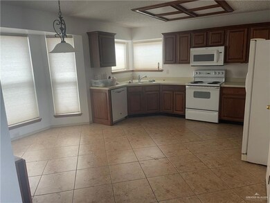 316 Rebecca Dr, Alamo, TX 78516 - photo 3