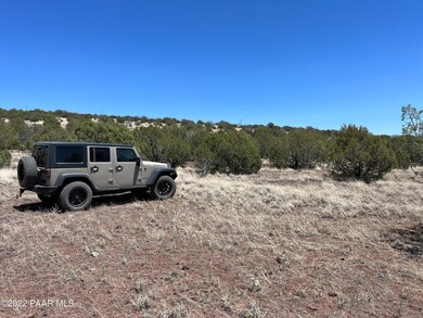 48225 N Steve Ln, Ash Fork, AZ 86320 - photo 2