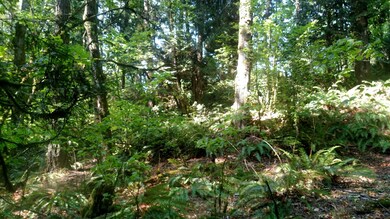 4624 Anderson Way, Bellingham, WA 98226 - photo 6