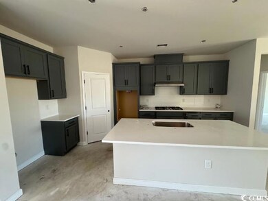 Kitchen with gray cabinets, sink, black gas stovet