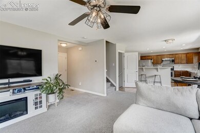 6565 Alliance Loop, Colorado Springs, CO 80925 - photo 5