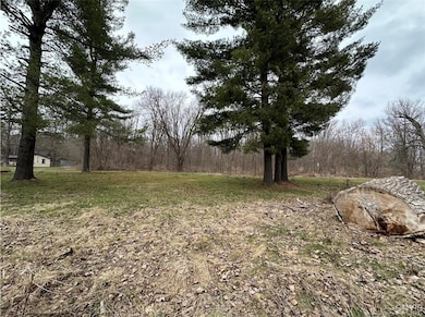 207 S Mechanic St, Carthage, NY 13619 - photo 5