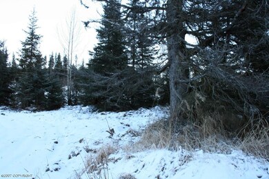 L38A Sterling Hwy, Anchor Point, AK 99556 - photo 3