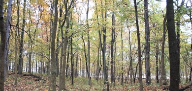 0 Dexter Chelsea Parcel H Rd unit 23086, Dexter, MI 48130 - photo 4