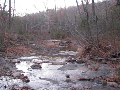 Broad Run 002