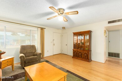 10211 W Caron Dr, Sun City, AZ 85351 - photo 4