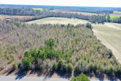 TBD Highway 76, Nichols, SC 29581 - photo 6