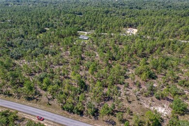 TBD SW Nautilus Blvd, Dunnellon, FL 34431 - photo 3