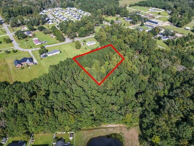 00 West Rd, Conway, SC 29527 - photo 5