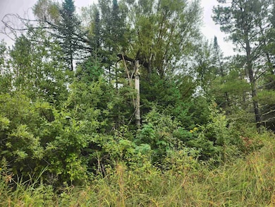 27XXX Dayton Rd, Washburn, WI 54891 - photo 5