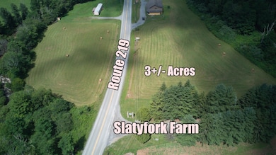 37787 Seneca Trail, Slaty Fork, WV 26291 - photo 3