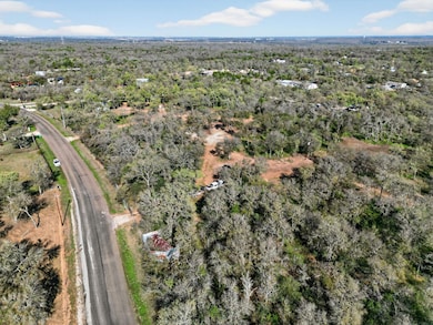 382 Elm Forest Loop, Cedar Creek, TX 78612 - photo 7