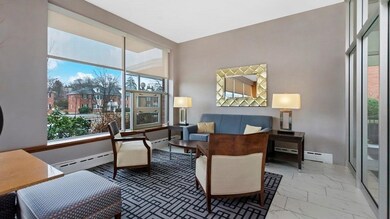 Hammond Park Condominiums unit 507, Chestnut Hill, MA 02467 - photo 5