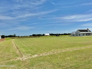 IMG_2025 (1)
