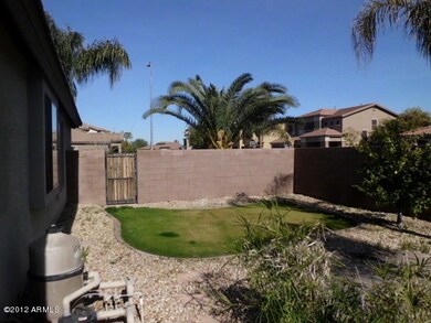 East back yard