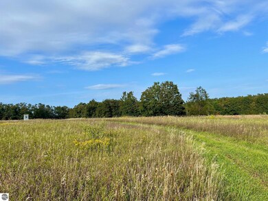 00 Skinner Rd, Ellsworth, MI 49729 - photo 5