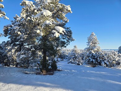 133 Off Arizona Rd, Ash Fork, AZ 86320 - photo 7