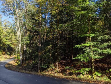 0 Dean Mountain Rd unit 202124233, Hadley, NY 12835 - photo 6