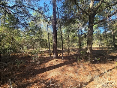 11370 N Ortega Point, Dunnellon, FL 34433 - photo 5