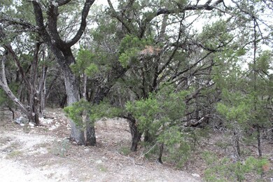 20701 Northland Dr, Lago Vista, TX 78645 - photo 4