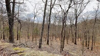 288 Crossroads Dr, Flint Creek, OK 74347 - photo 5