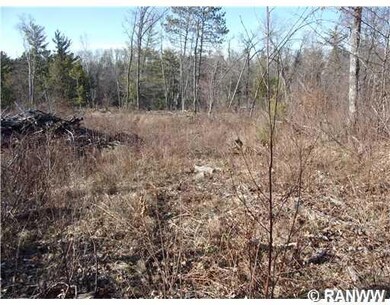 30288 Minerva Rd, Danbury, WI 54830 - photo 7