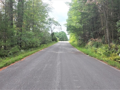 0 Steele Woods Rd unit 206271, Lewis, NY 12950 - photo 2