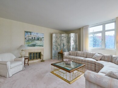 Hampton Place unit 306N, Chestnut Hill, MA 02467 - photo 5