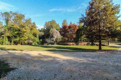 233 Gr 657 Rd, Paragould, AR 72450 - photo 4