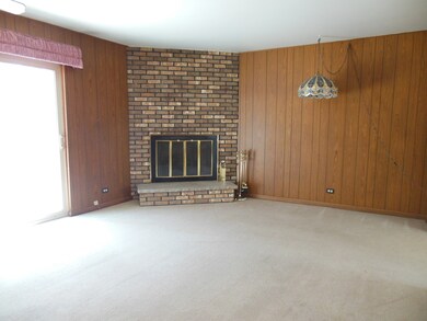 781 N Geneva Ave, Elmhurst, IL 60126 - photo 4