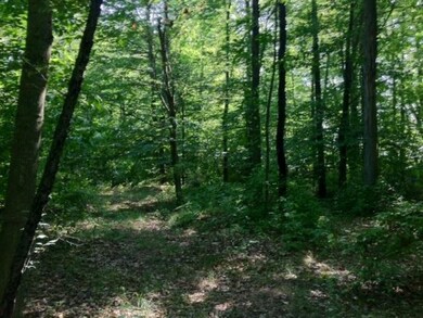 0 Remington Ln, Park Township, MI 49424 - photo 7