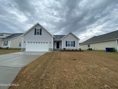 2301 Zircon Dr, Winterville, NC 28590 - photo 3