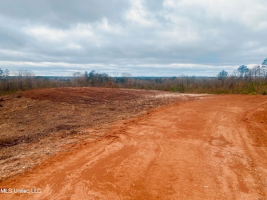 0 Saint Anne Rd, Carthage, MS 39051 - photo 4