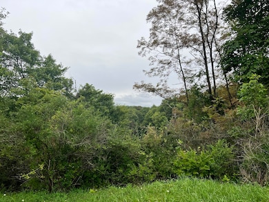 00 Walston Rd, Walston, PA 15781 - photo 2