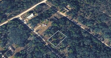 0 NE 64th Place unit MFRTB8453106, Williston, FL 32696 - photo 5