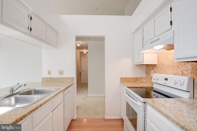 14101 Fall Acre Ct unit 12, Silver Spring, MD 20906 - photo 3
