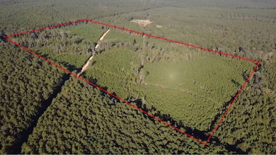 0 Hwy, Winnfield, LA 71483 - photo 3