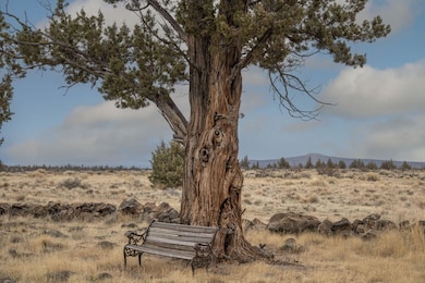 10498 SW Graham Rd unit 4831, Culver, OR 97734 - photo 7