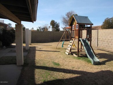 Large Backyard