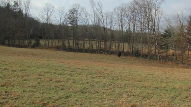 Both Fields