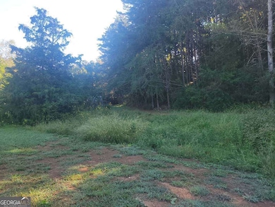 849 Booger Hollow Rd SW, Lindale, GA 30147 - photo 4