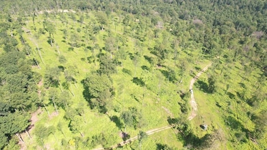 Route 580 Hwy unit 6, Cherry Tree, PA 15728 - photo 3