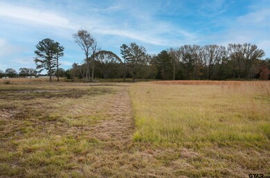 Lt 7 O- TBD Fm 1892, Frankston, TX 75763 - photo 3