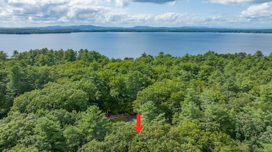 honeybee productions drone showing mount