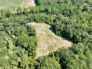 0 Abbeville Hwy, Pineview, GA 31071 - photo 6