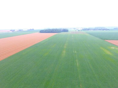 DJI_0299w