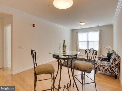 Dominion Heights unit 209, Arlington, VA 22207 - photo 5