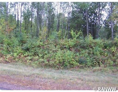 0 N Point Lake Rd, Webster, WI 54893 - photo 7